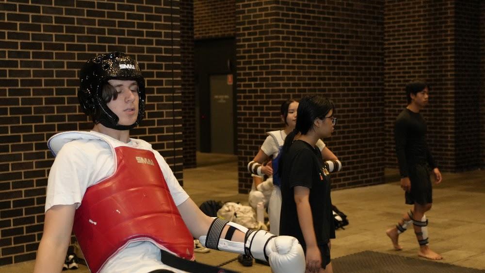 TDog Taekwondo training G965
