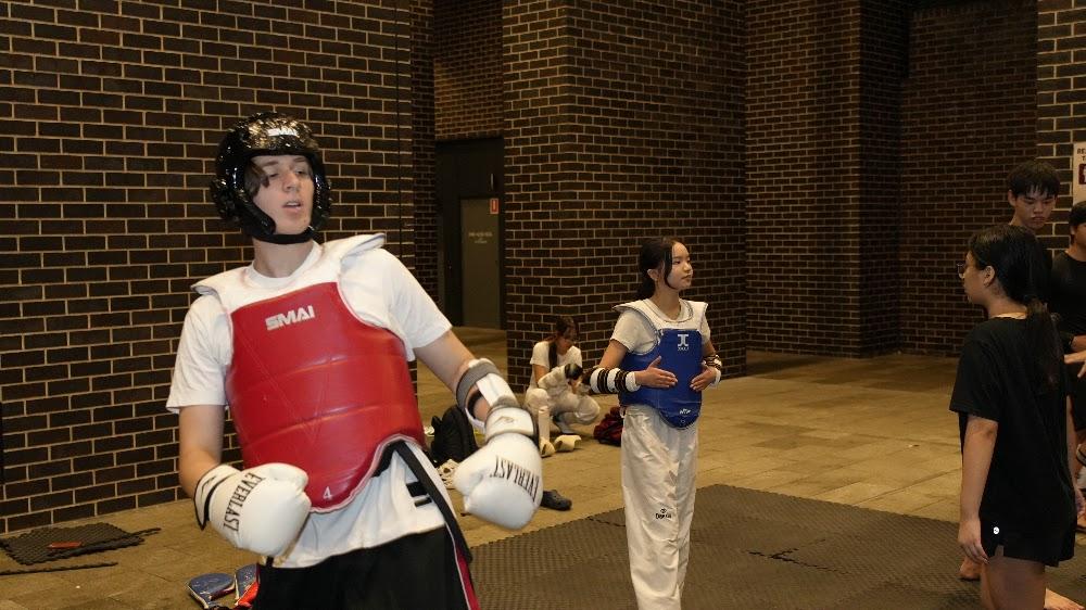 TDog Taekwondo training G966