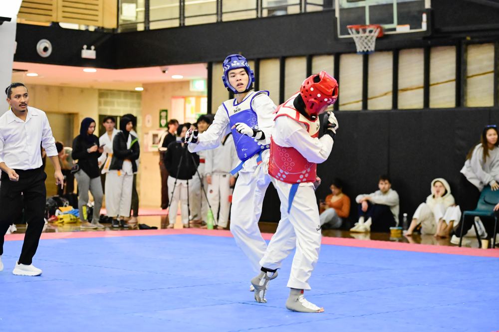 TDog Taekwondo coaching G97