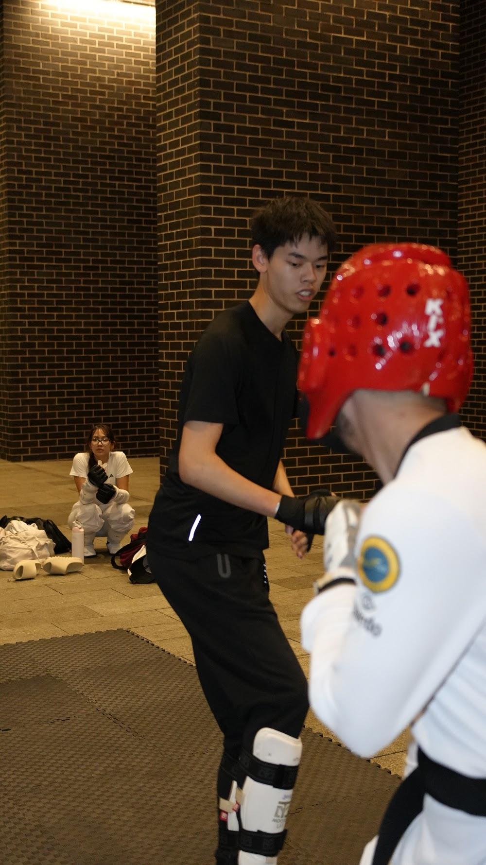 TDog Taekwondo coaching G970