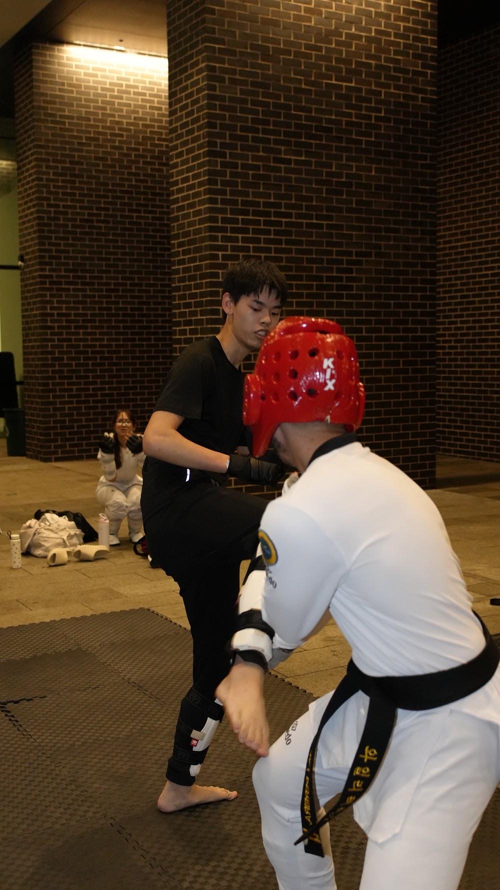 TDog Taekwondo training G971