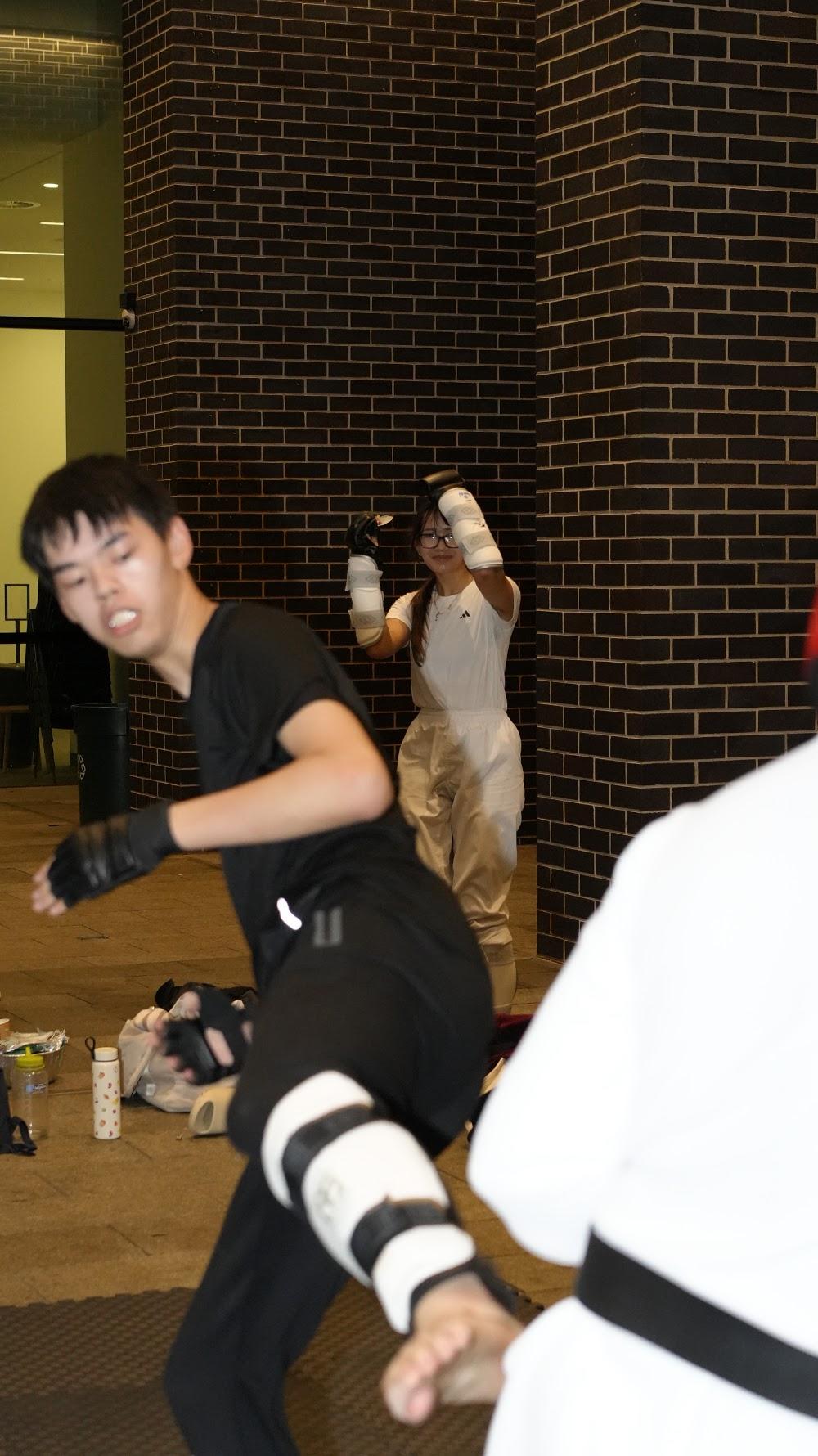 TDog Taekwondo training G973