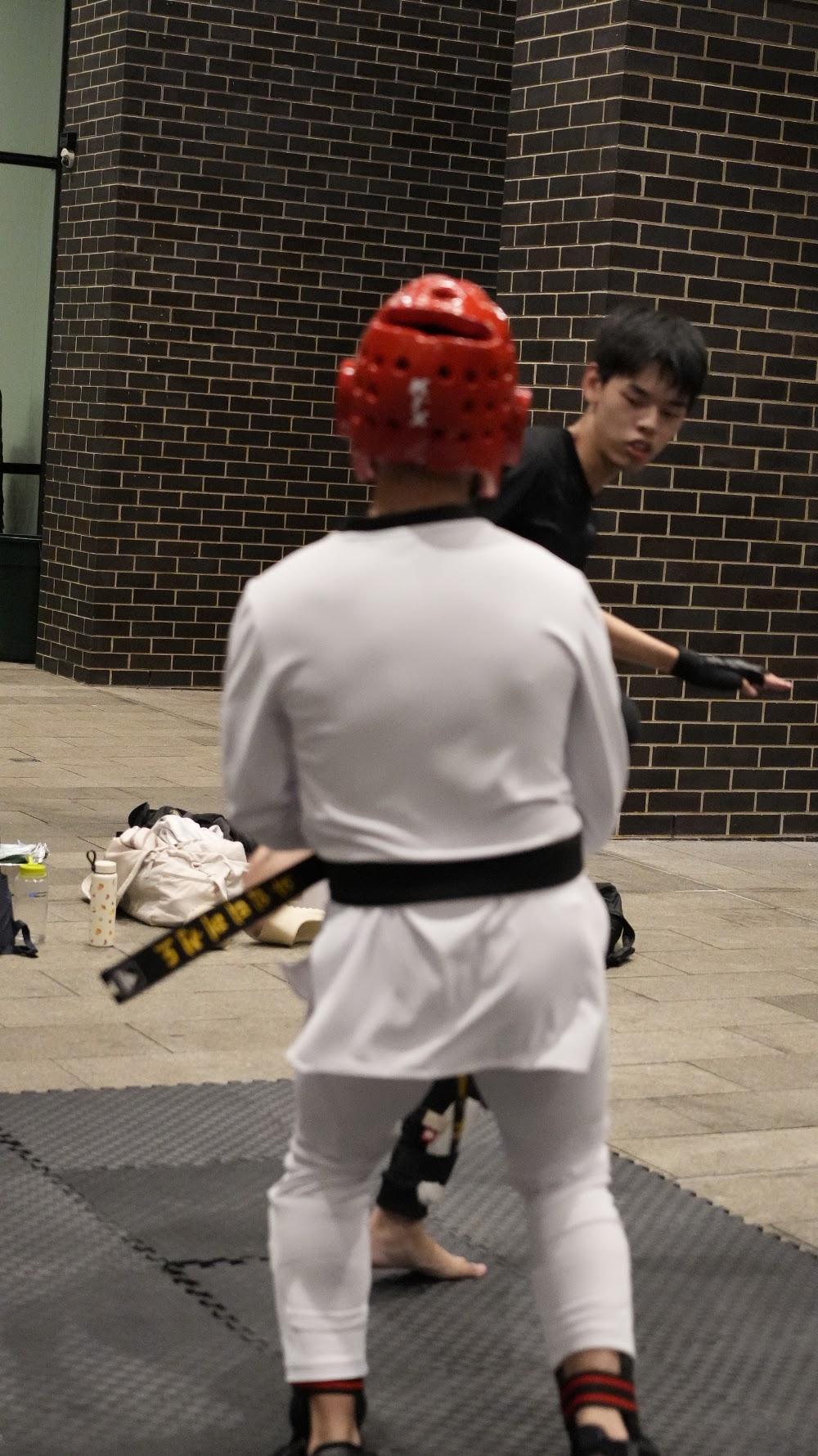 TDog Taekwondo coaching G974