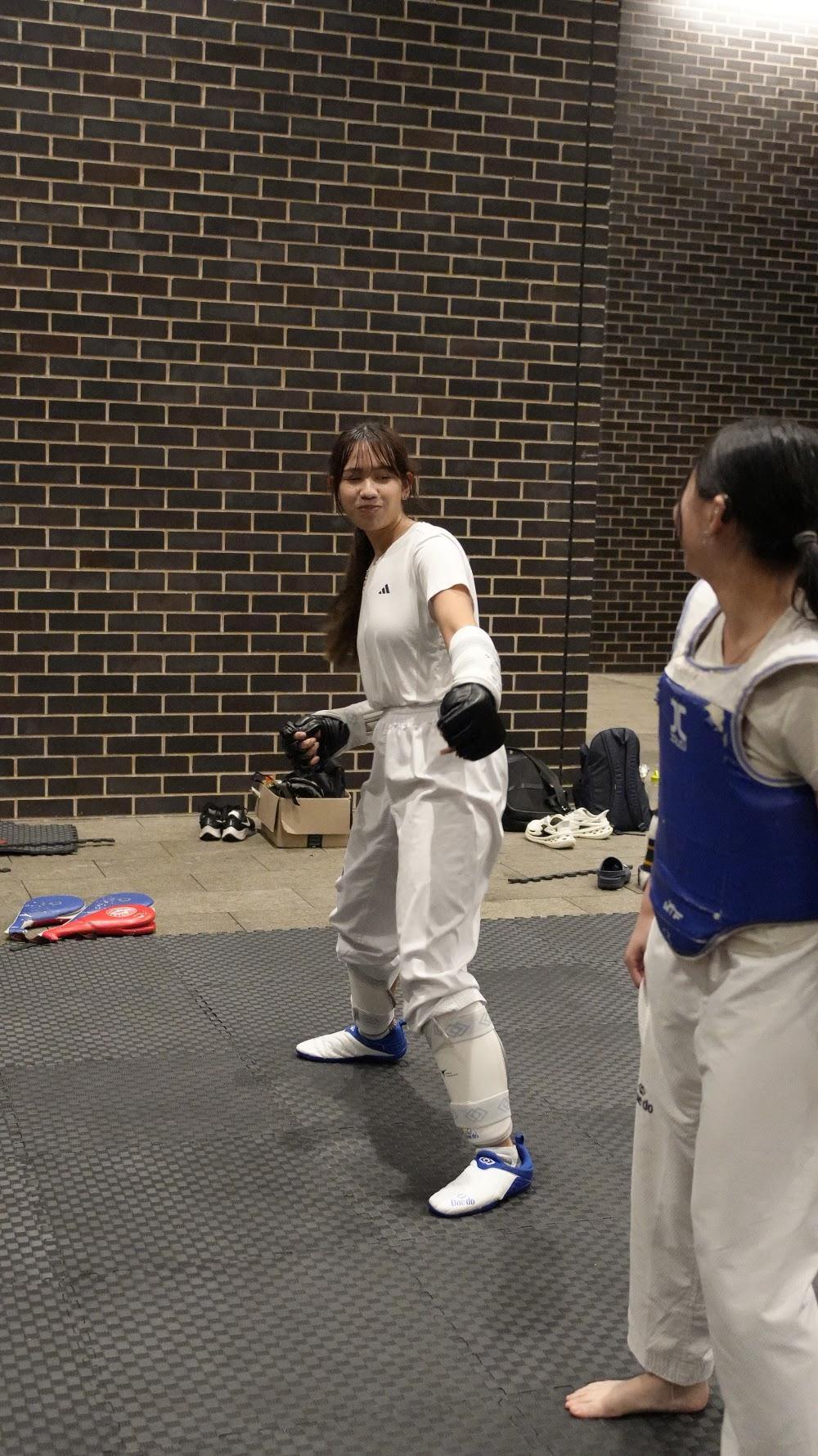 TDog Taekwondo training G976