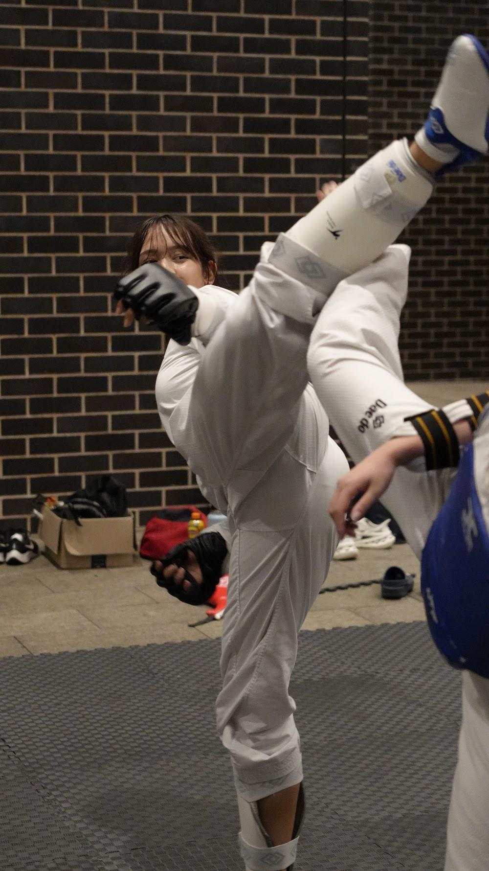 TDog Taekwondo coaching G977