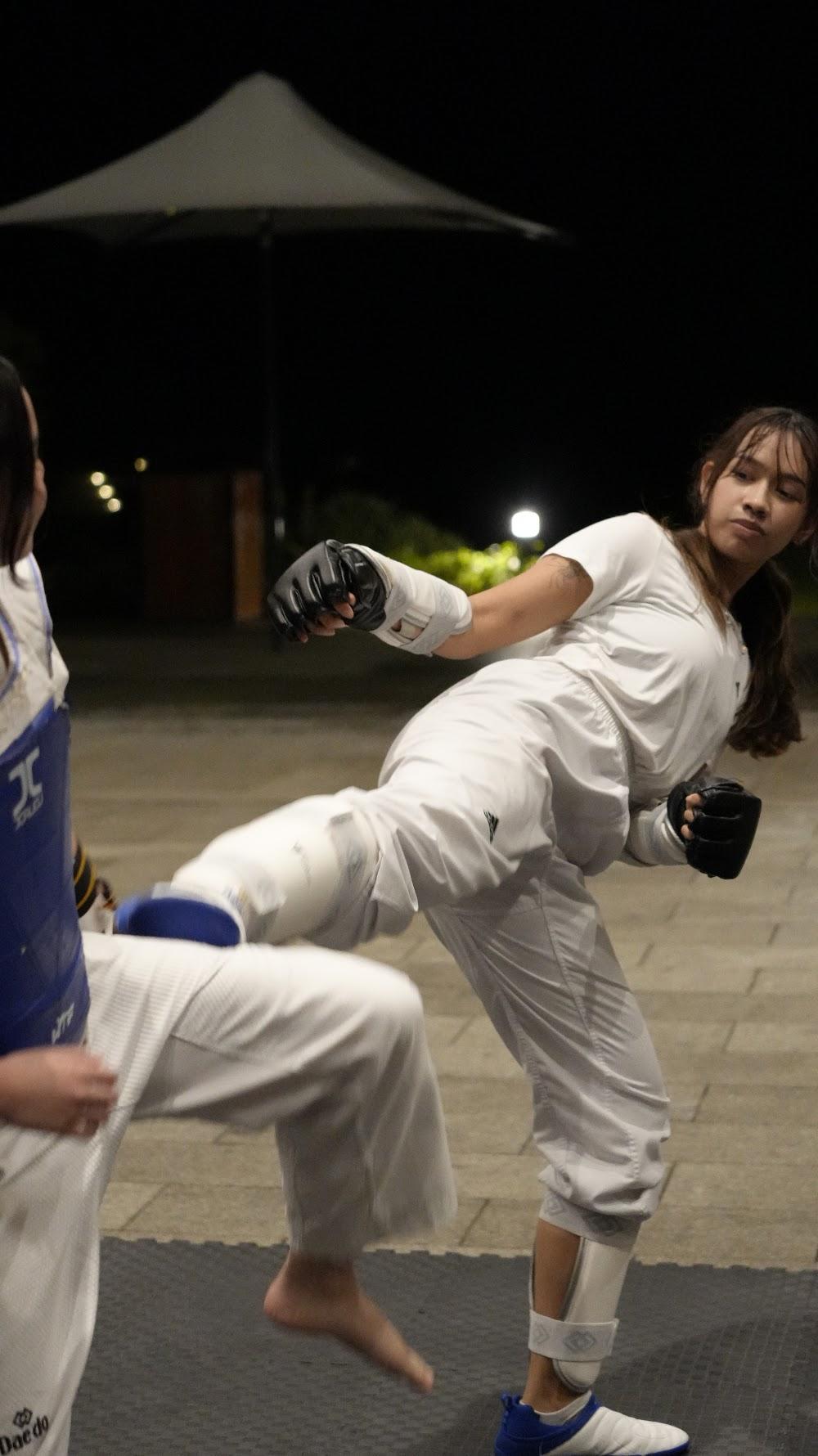 TDog Taekwondo training G982