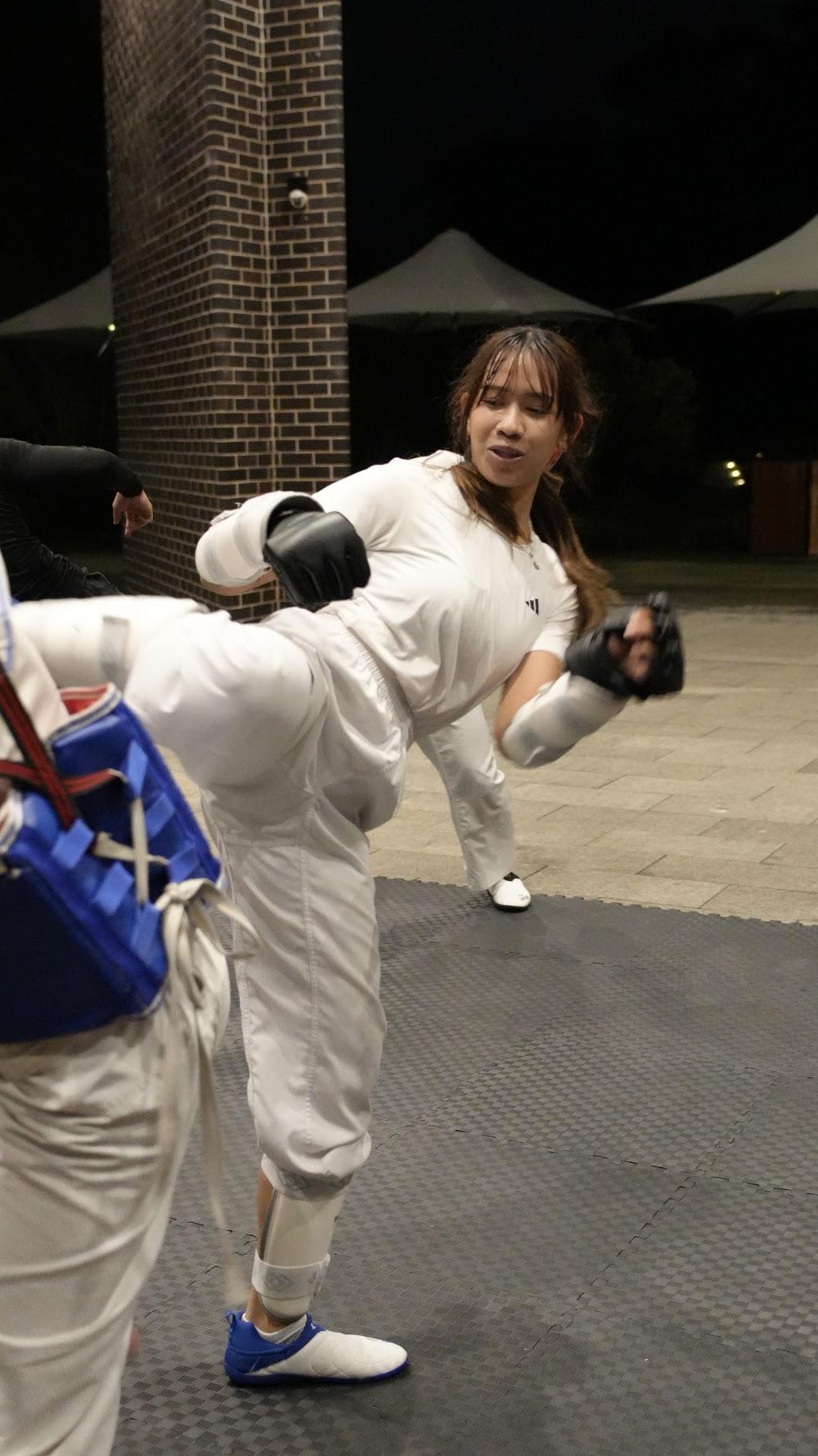 TDog Taekwondo coaching G983