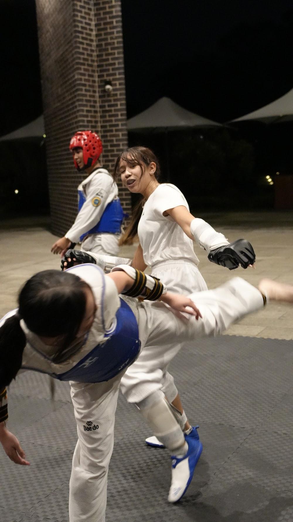 TDog Taekwondo training G984